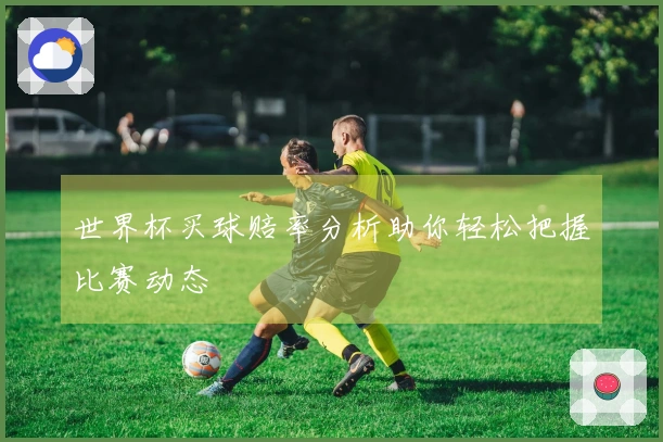 世界杯买球赔率分析助你轻松把握比赛动态