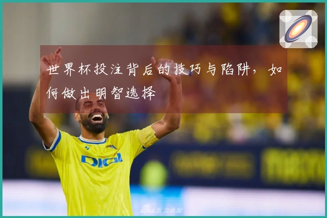 世界杯投注背后的技巧与陷阱，如何做出明智选择