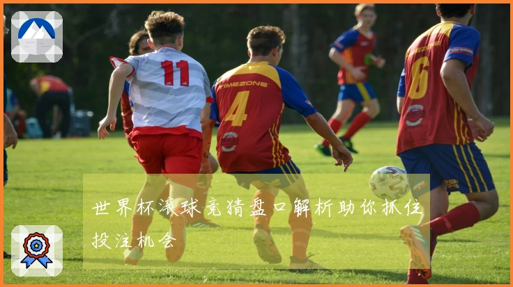 世界杯滚球竞猜盘口解析助你抓住投注机会