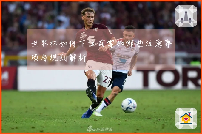 世界杯如何下注前需知哪些注意事项与规则解析
