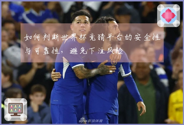 如何判断世界杯竞猜平台的安全性与可靠性，避免下注风险