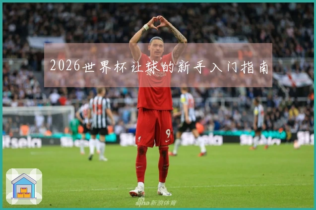 2026世界杯让球的新手入门指南