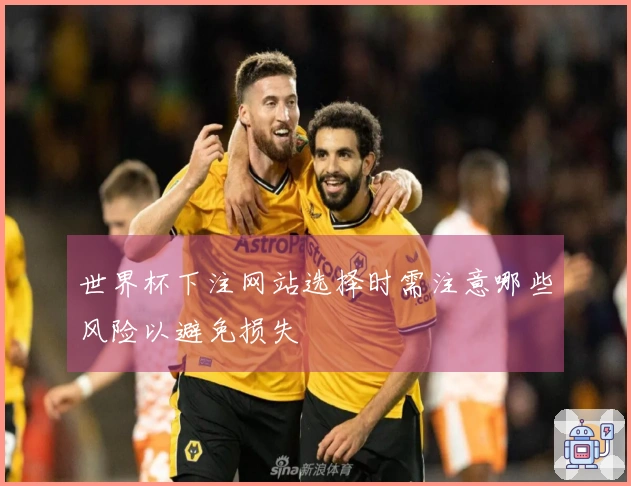 世界杯下注网站选择时需注意哪些风险以避免损失