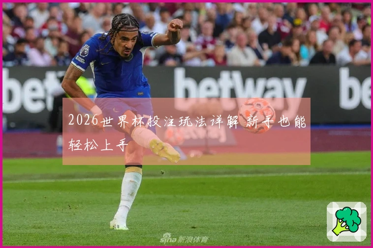 2026世界杯投注玩法详解 新手也能轻松上手