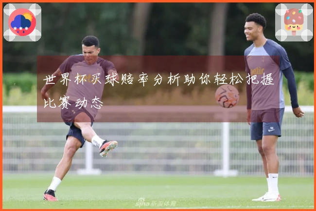 世界杯买球赔率分析助你轻松把握比赛动态
