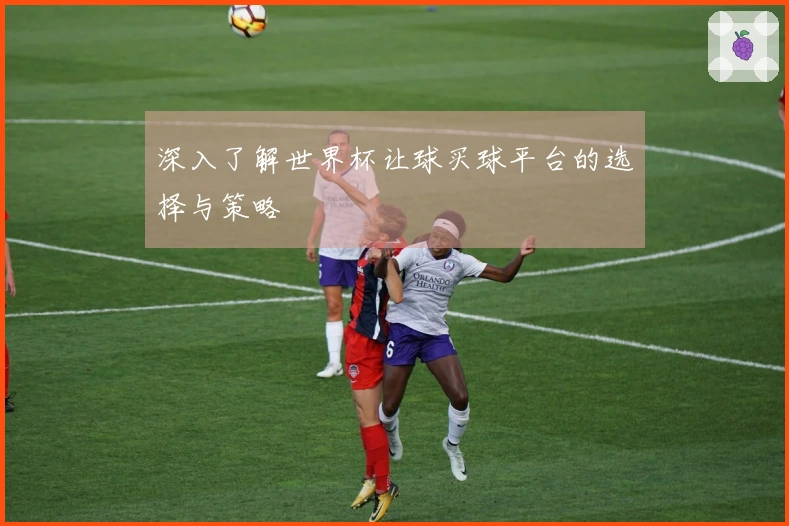 深入了解世界杯让球买球平台的选择与策略