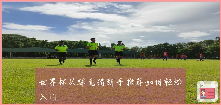 世界杯买球竞猜新手推荐如何轻松入门