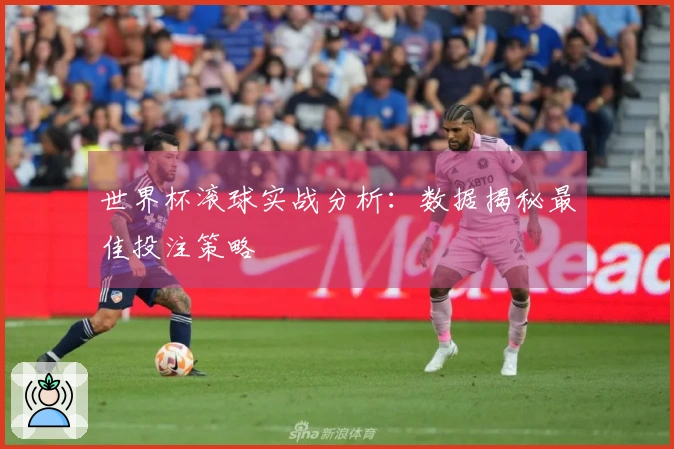 世界杯滚球实战分析：数据揭秘最佳投注策略