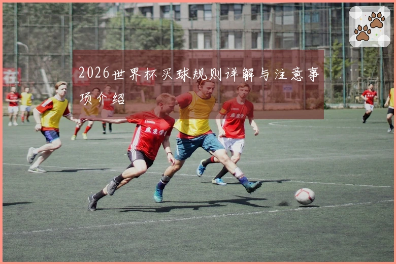 2026世界杯买球规则详解与注意事项介绍