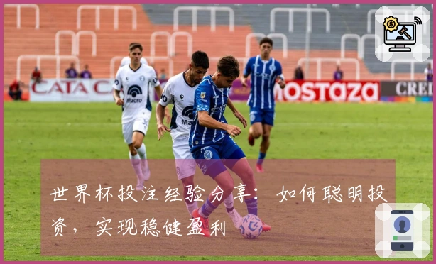 世界杯投注经验分享：如何聪明投资，实现稳健盈利