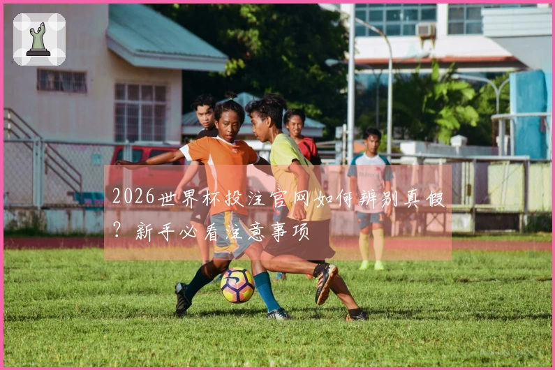 2026世界杯投注官网如何辨别真假？新手必看注意事项