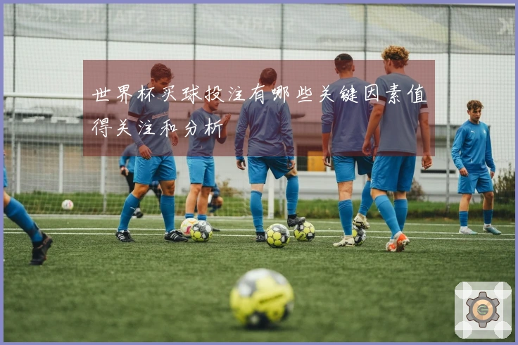 世界杯买球投注有哪些关键因素值得关注和分析