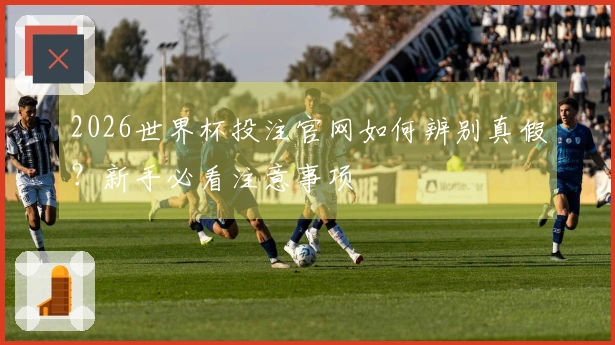 2026世界杯投注官网如何辨别真假？新手必看注意事项