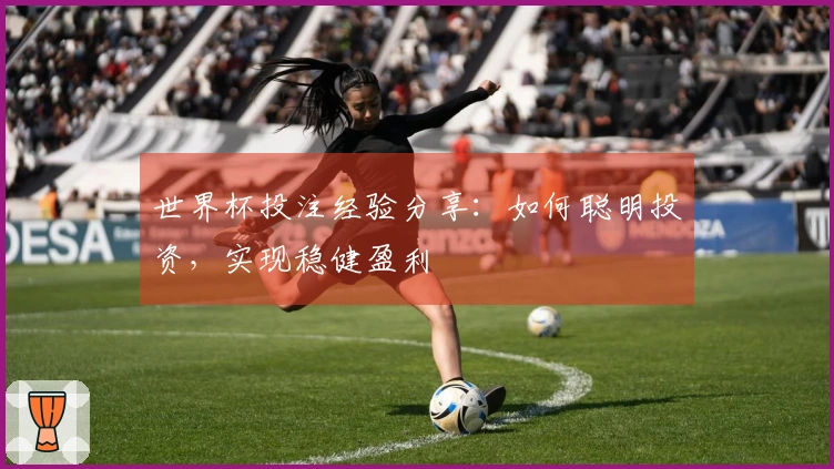 世界杯投注经验分享：如何聪明投资，实现稳健盈利