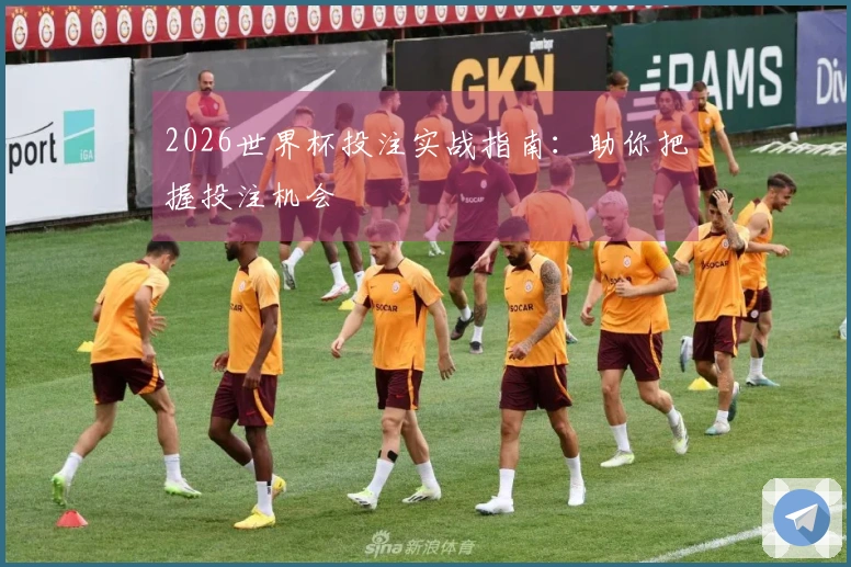 2026世界杯投注实战指南：助你把握投注机会