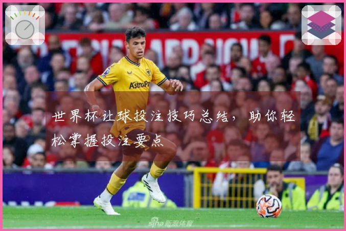 世界杯让球投注技巧总结，助你轻松掌握投注要点