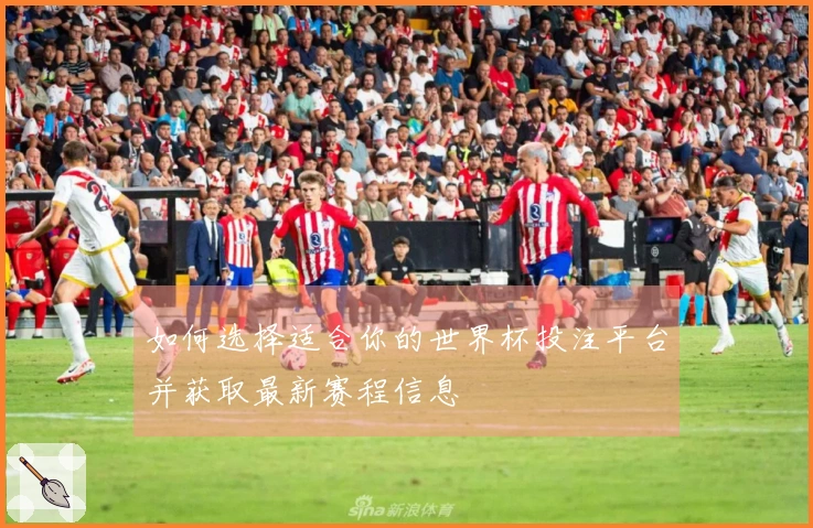 如何选择适合你的世界杯投注平台并获取最新赛程信息