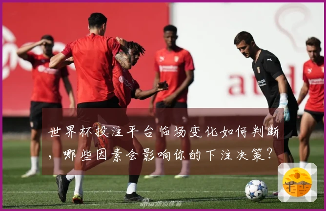 世界杯投注平台临场变化如何判断，哪些因素会影响你的下注决策？