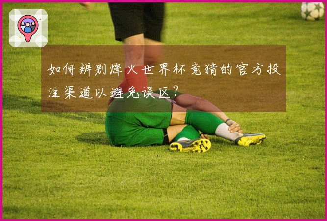 如何辨别烽火世界杯竞猜的官方投注渠道以避免误区？