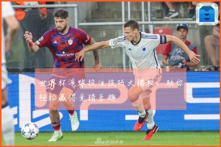 世界杯滚球投注技巧大揭秘，助你轻松赢得竞猜乐趣