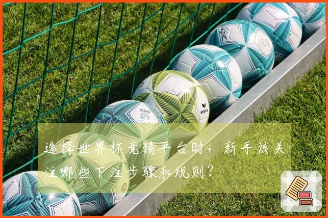 选择世界杯竞猜平台时，新手该关注哪些下注步骤和规则？