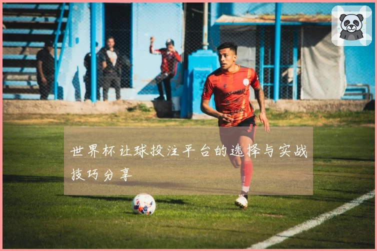 世界杯让球投注平台的选择与实战技巧分享