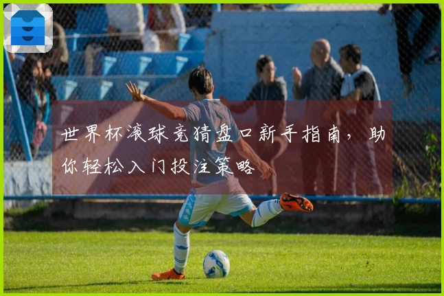 世界杯滚球竞猜盘口新手指南，助你轻松入门投注策略