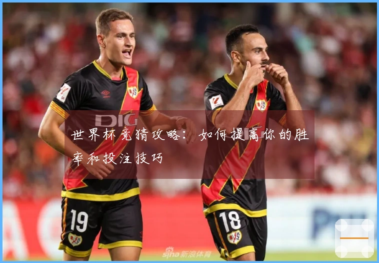 世界杯竞猜攻略：如何提高你的胜率和投注技巧
