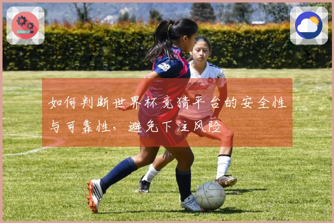 如何判断世界杯竞猜平台的安全性与可靠性，避免下注风险