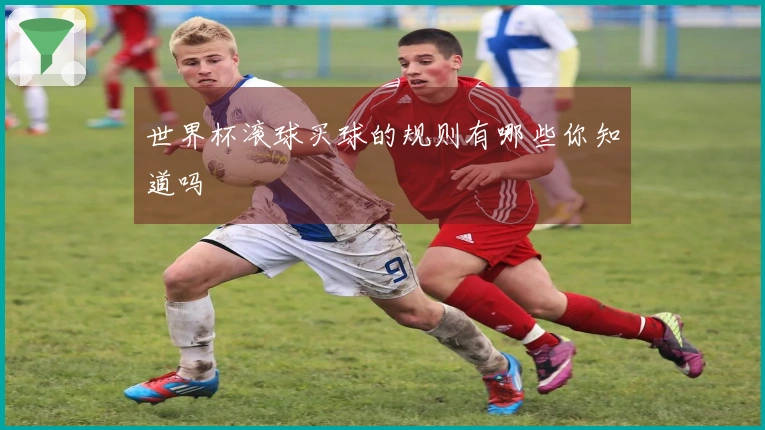 世界杯滚球买球的规则有哪些你知道吗