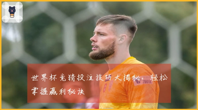 世界杯竞猜投注技巧大揭秘，轻松掌握赢利秘诀