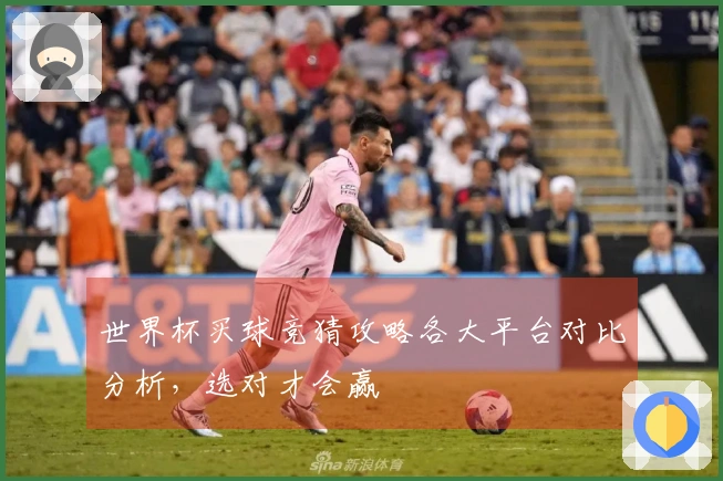 世界杯买球竞猜攻略各大平台对比分析，选对才会赢