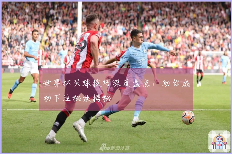 世界杯买球技巧深度盘点，助你成功下注秘诀揭秘