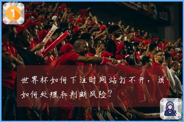 世界杯如何下注时网站打不开，该如何处理和判断风险？