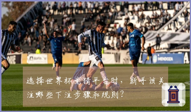 选择世界杯竞猜平台时，新手该关注哪些下注步骤和规则？