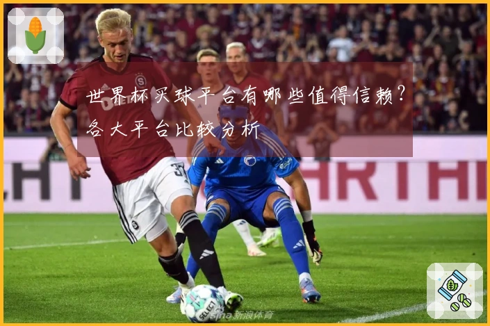 世界杯买球平台有哪些值得信赖？各大平台比较分析