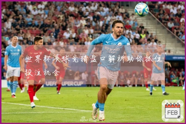 世界杯滚球竞猜盘口解析助你抓住投注机会
