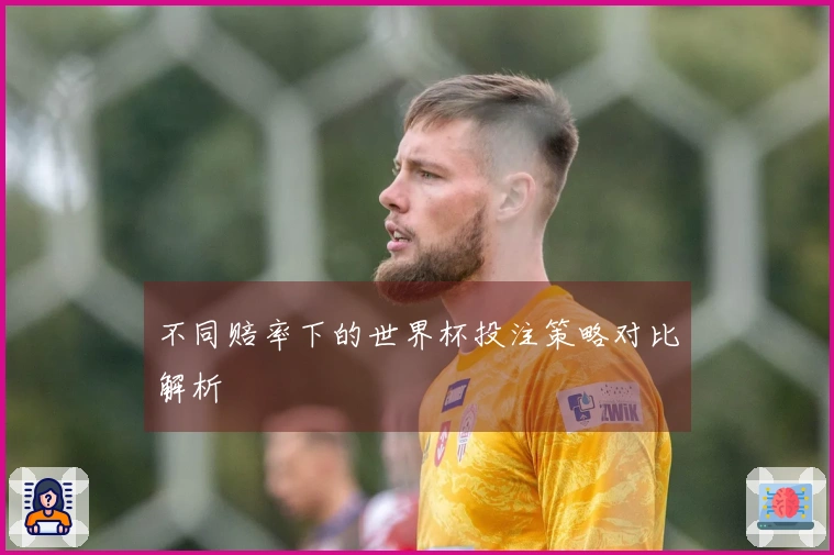 不同赔率下的世界杯投注策略对比解析