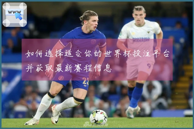 如何选择适合你的世界杯投注平台并获取最新赛程信息