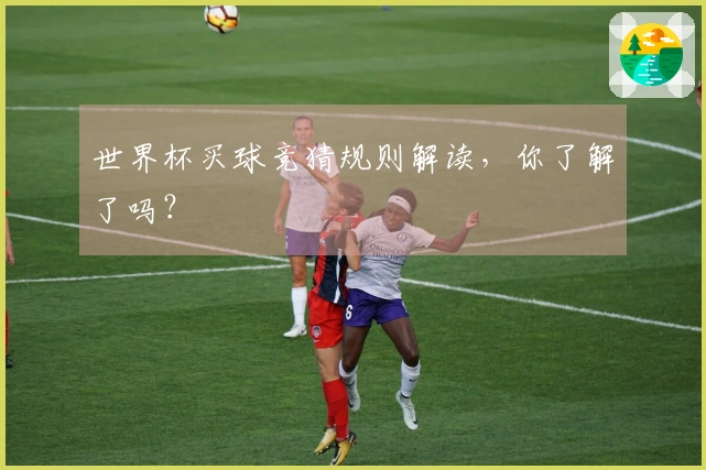世界杯买球竞猜规则解读，你了解了吗？