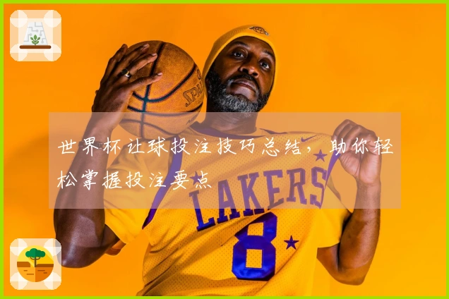 世界杯让球投注技巧总结，助你轻松掌握投注要点